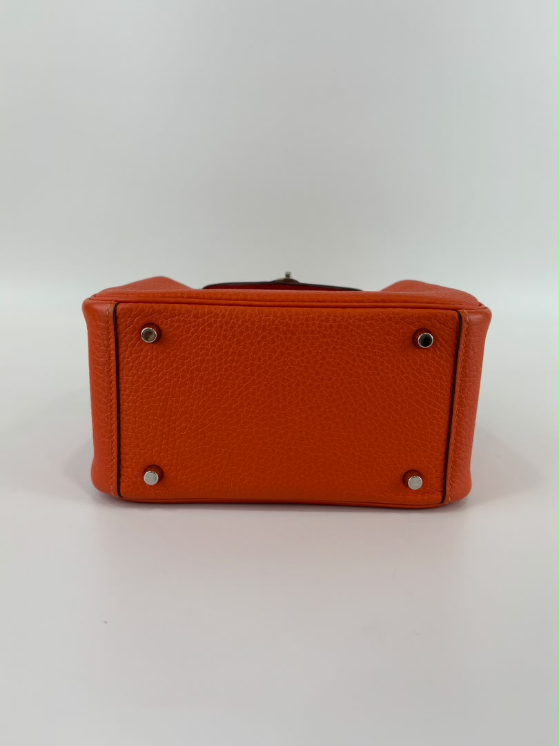 Mini Lindy I Taurillon Clemence Feu PHW