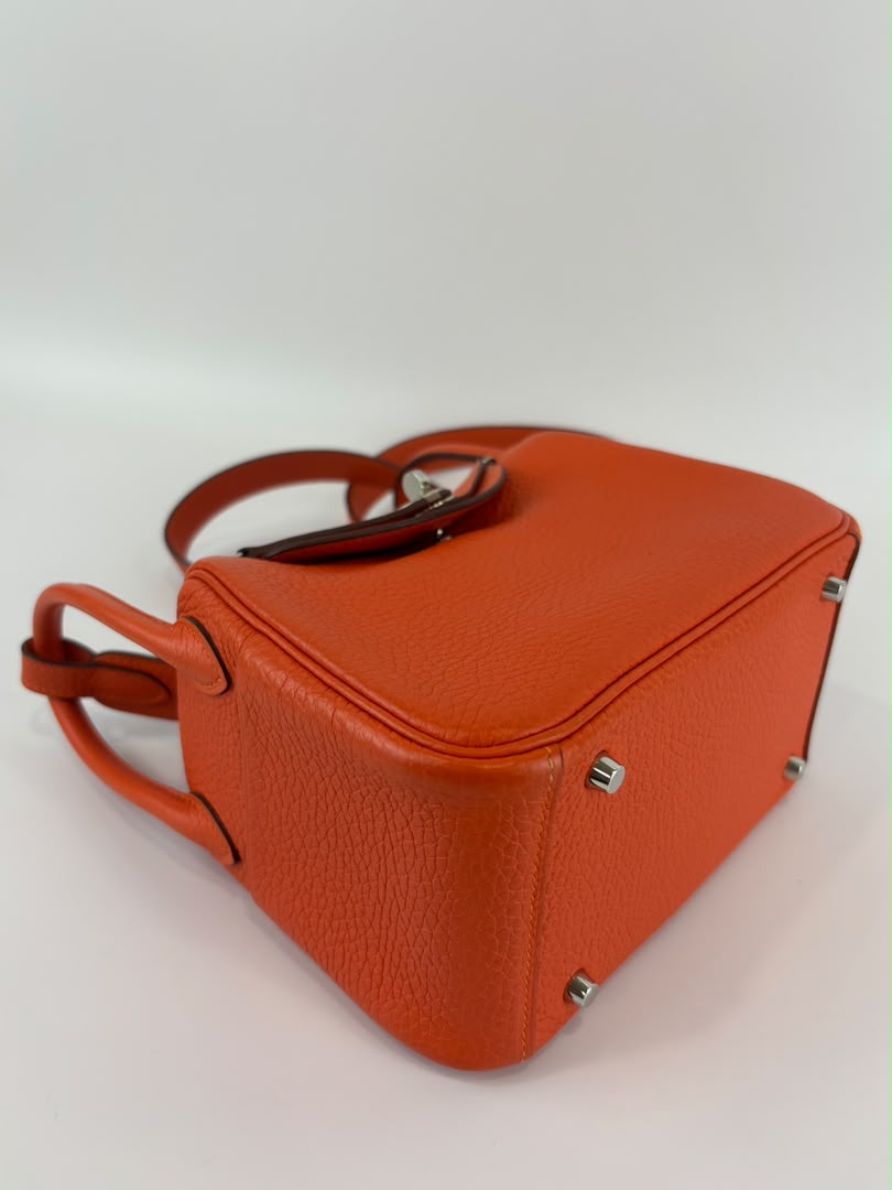 Mini Lindy I Taurillon Clemence Feu PHW