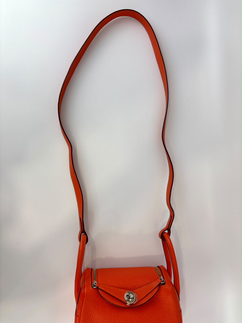 Mini Lindy I Taurillon Clemence Feu PHW