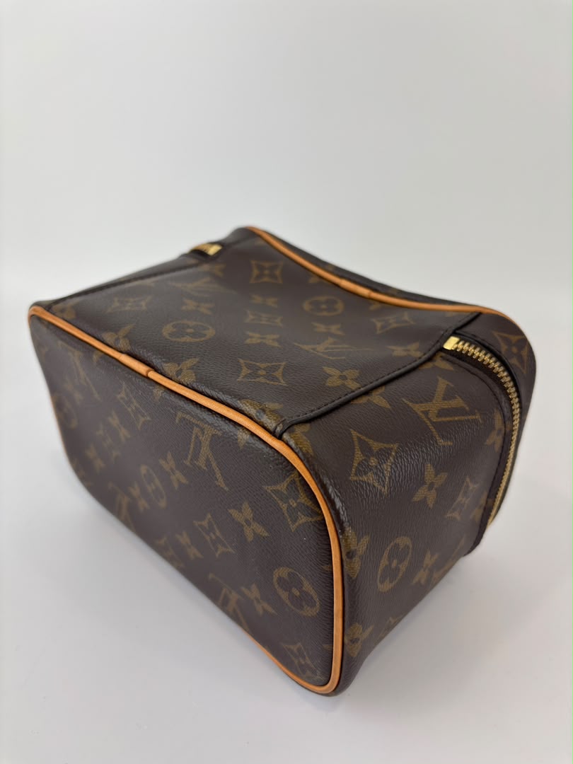 Nice Mini Monogram Canvas