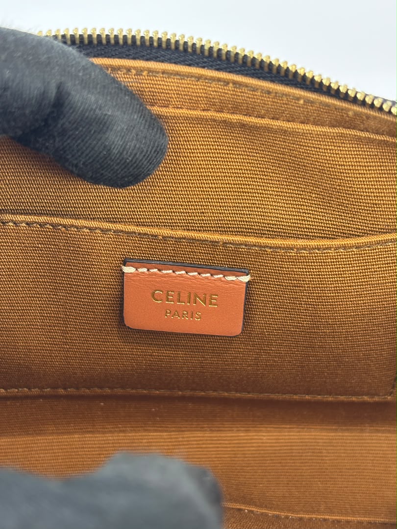 Triomphe Canvas Mini Camera Shoulder Bag Tan