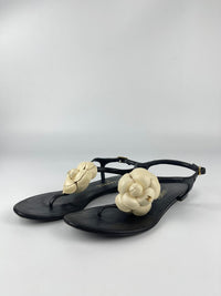 Camellia Ankle Strap Thong Sandals Size 36.5 C