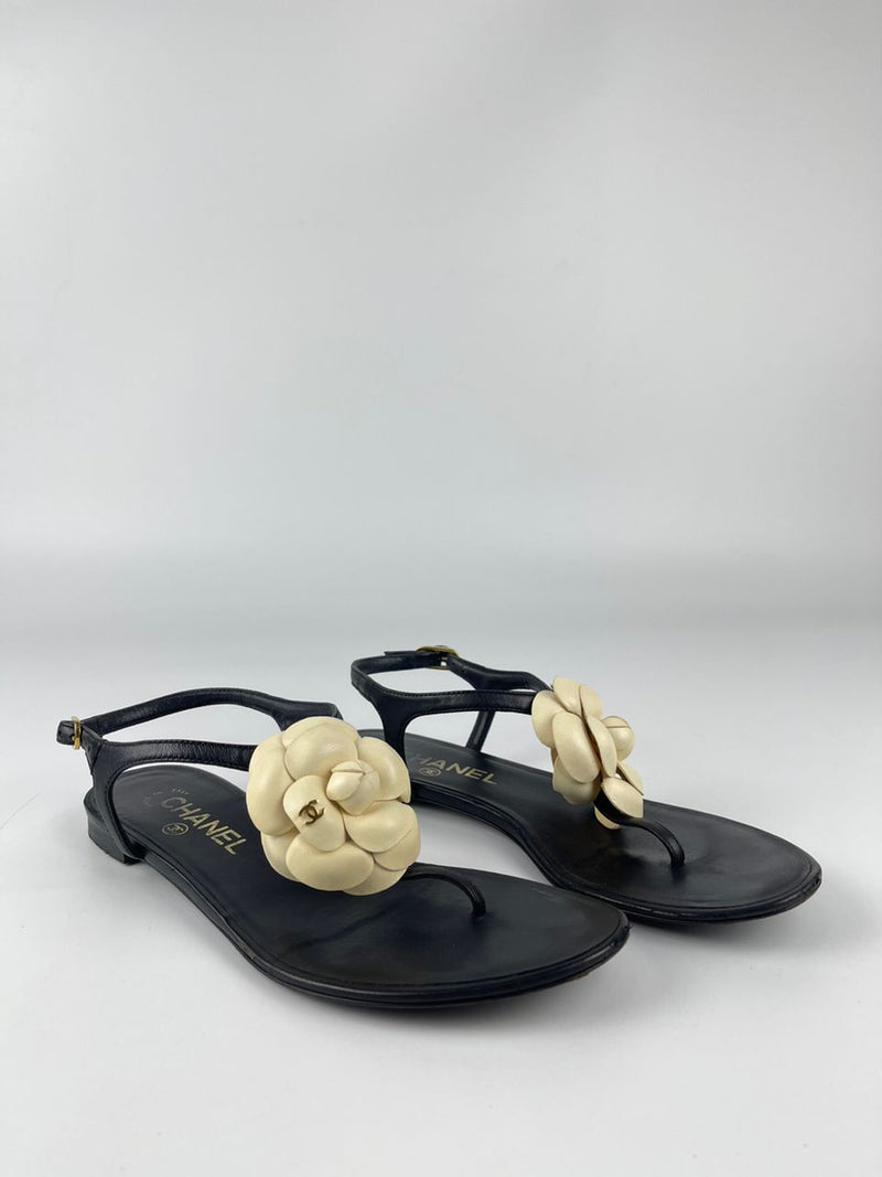 Camellia Ankle Strap Thong Sandals Size 36.5 C