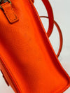 Nano Luggage in Orange