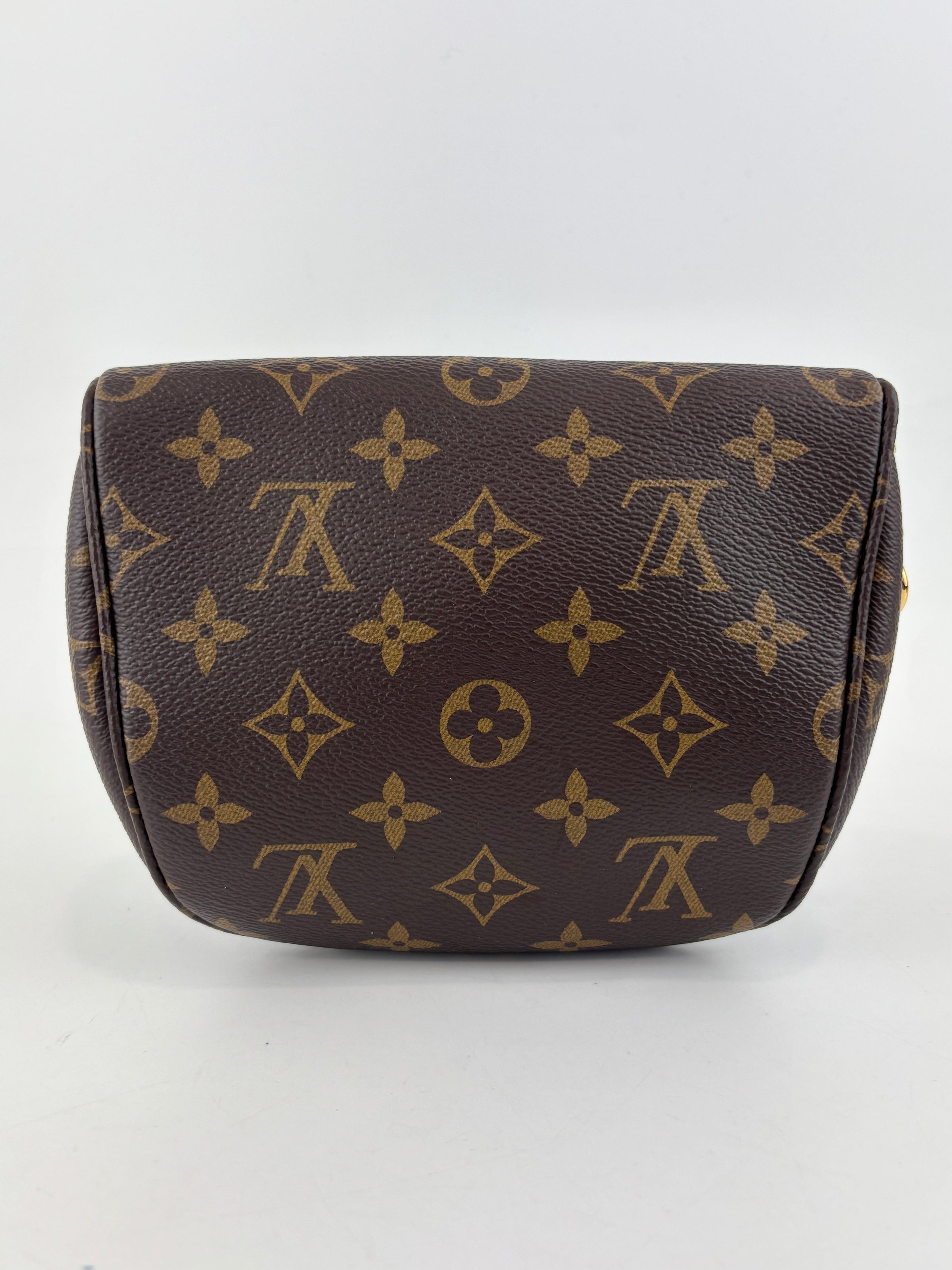 Louis Vuitton M82335 Mini Bumbag Monogram Canvas (RFID)