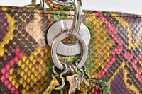 Christian Dior Lady Dior 大号多色蟒蛇限量版包