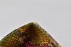 Beg Christian Dior Lady Dior Large Multicolor Python Edisi Terhad