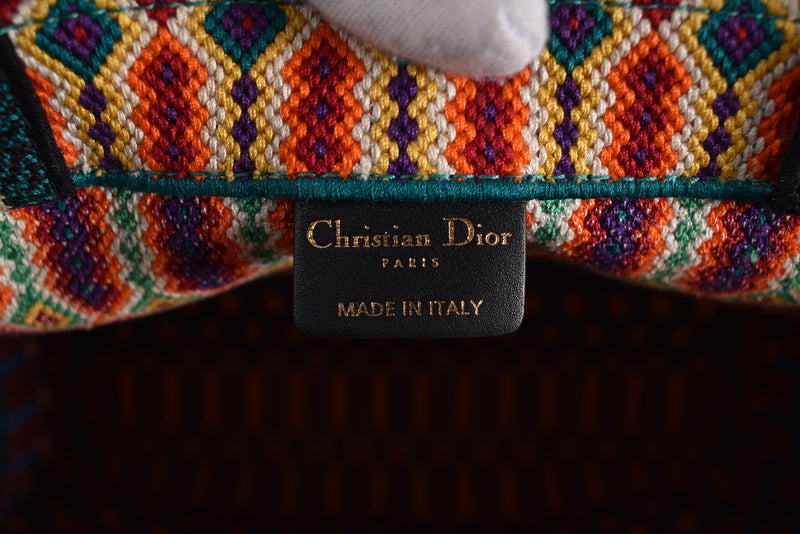 Christian Dior Book Tote in Multicolor Canvas